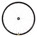 BERD HAWK30 Gold