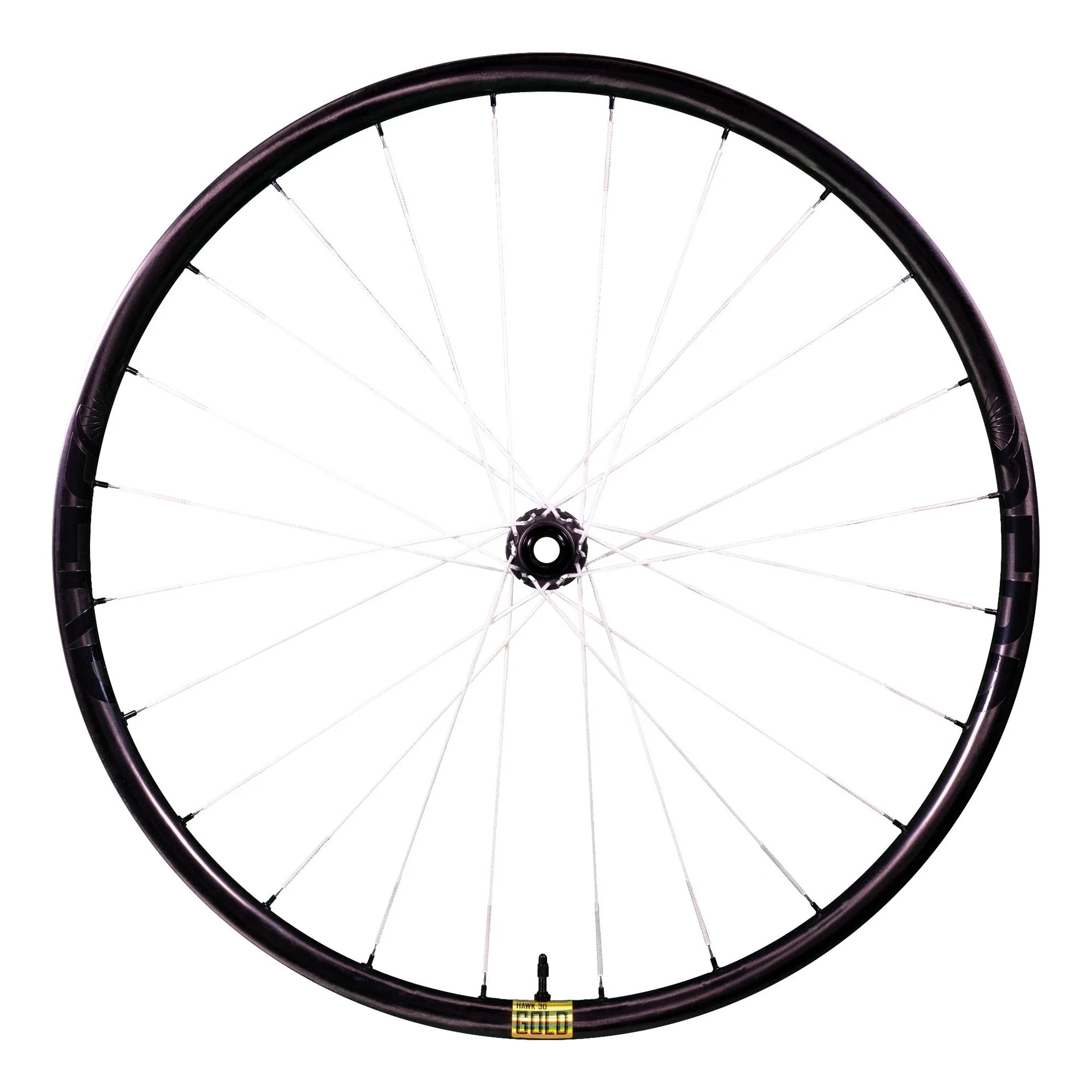 BERD HAWK30 Gold
