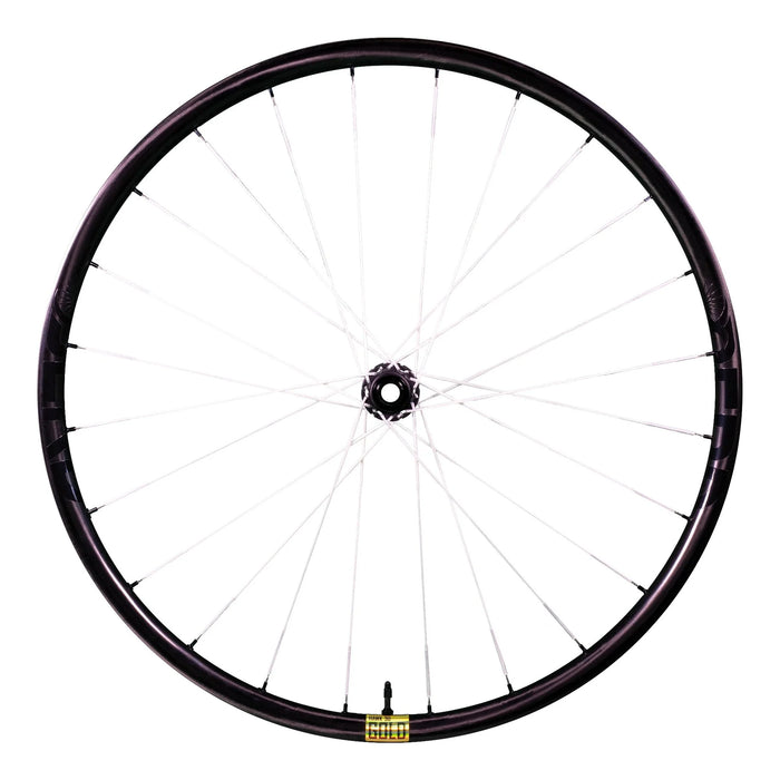 BERD HAWK30 Gold