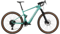 Salsa Wanderosa C Apex Eagle
